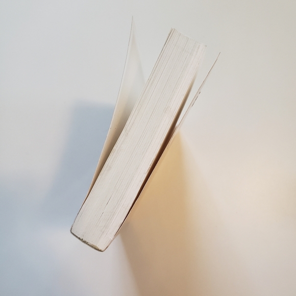 On the Integration of Nature Post 9-11 Biopolitical Notes Richard Grossinger - Picture 4 of 16